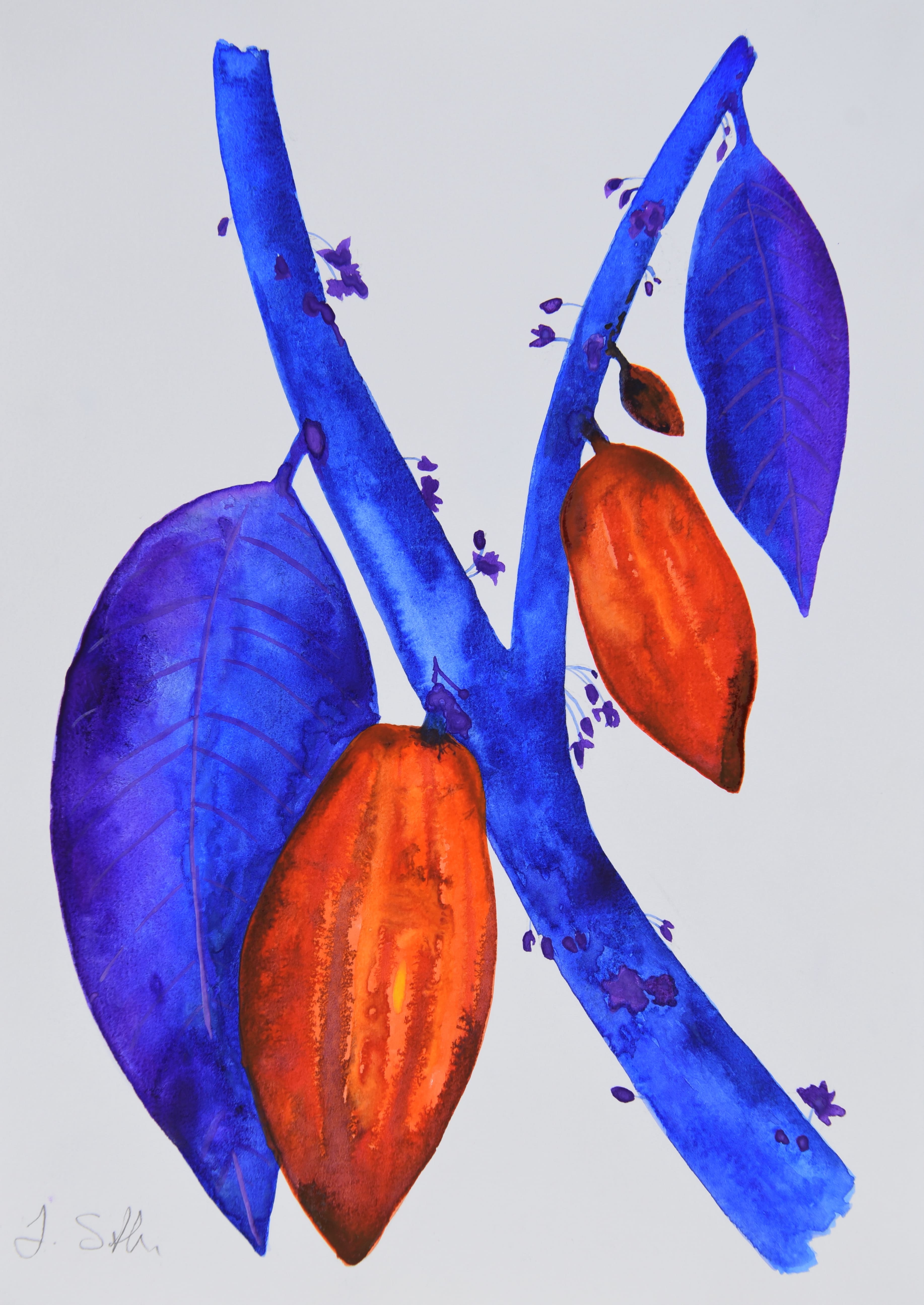 Obra 17 - Cacau